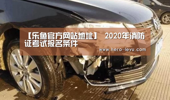 乐鱼极致竞技体验
