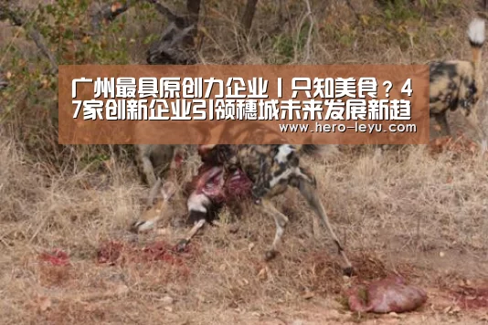 乐鱼极致竞技体验