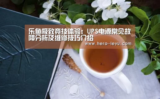 乐鱼极致竞技体验:UPS电源常见故障分析及维修技巧介绍(图1) 乐鱼体育app在线