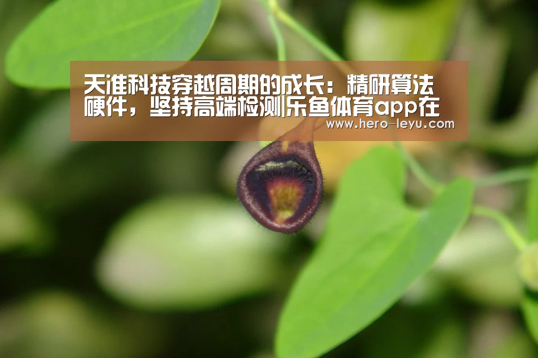 天准科技穿越周期的成长:精研算法硬件,坚持高端检测|乐鱼体育app在线(图1) 乐鱼官方网站地址