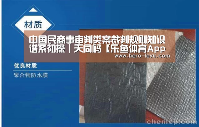中国民商事审判类案裁判规则知识谱系初探|天同码【乐鱼体育App下载】(图1) 乐鱼体育App下载