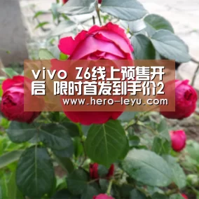 vivo Z6线上预售开启 限时首发到手价2198元起_乐鱼体育App下载(图3) 乐鱼体育App下载