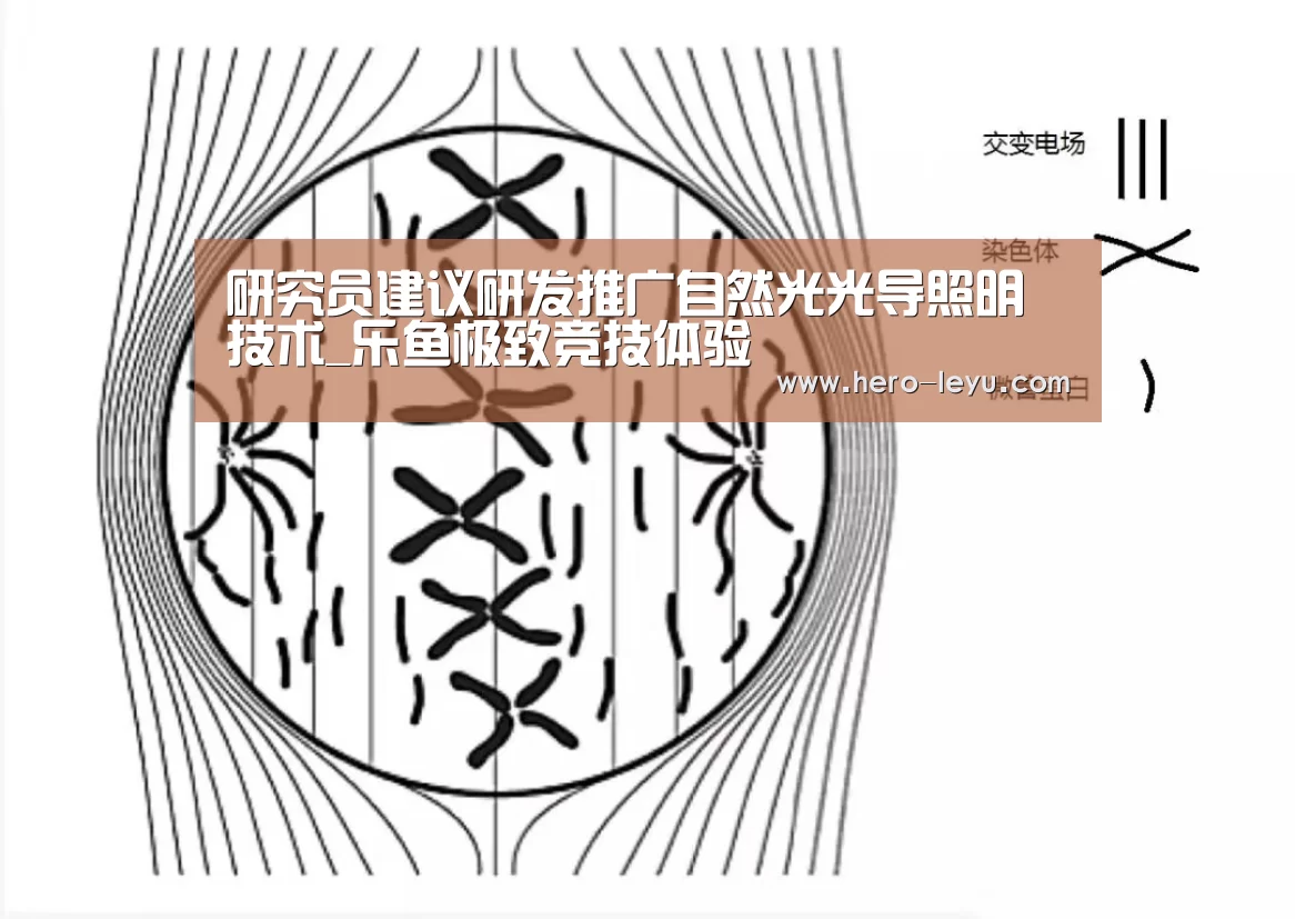 乐鱼极致竞技体验